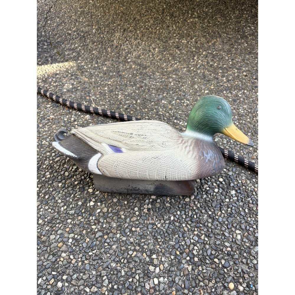 Mallard Drake‎ Duck Floating Decoy Shot Decor